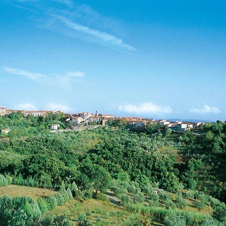 Appartamento Locazione Turistica Il Felciaione-2 Riparbella Esterno foto