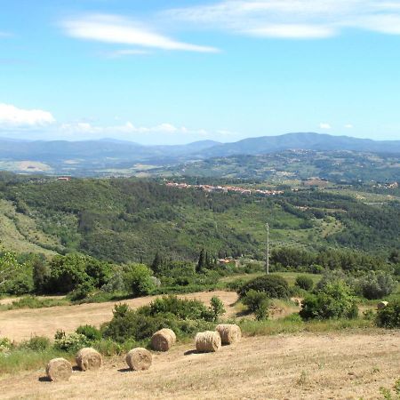 Appartamento Locazione Turistica Il Felciaione-2 Riparbella Esterno foto