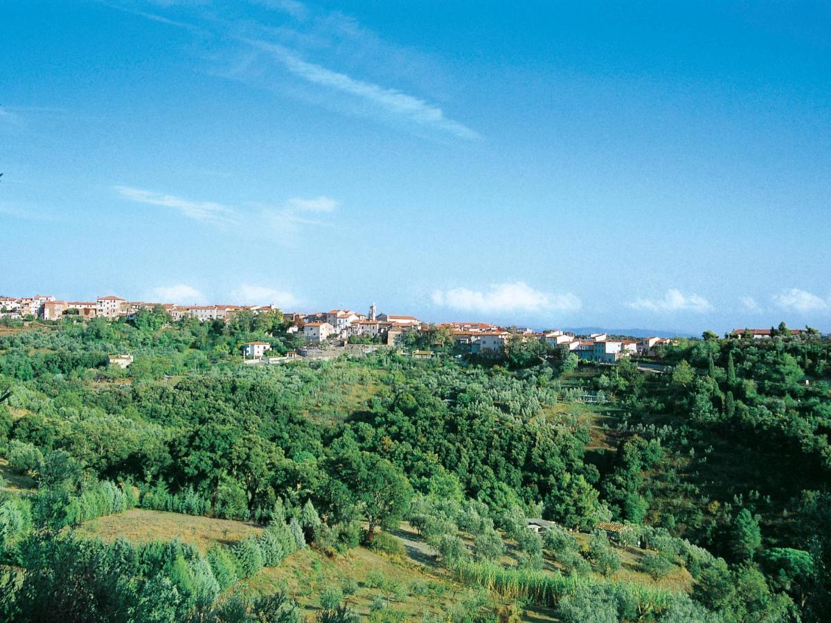 Appartamento Locazione Turistica Il Felciaione-2 Riparbella Esterno foto